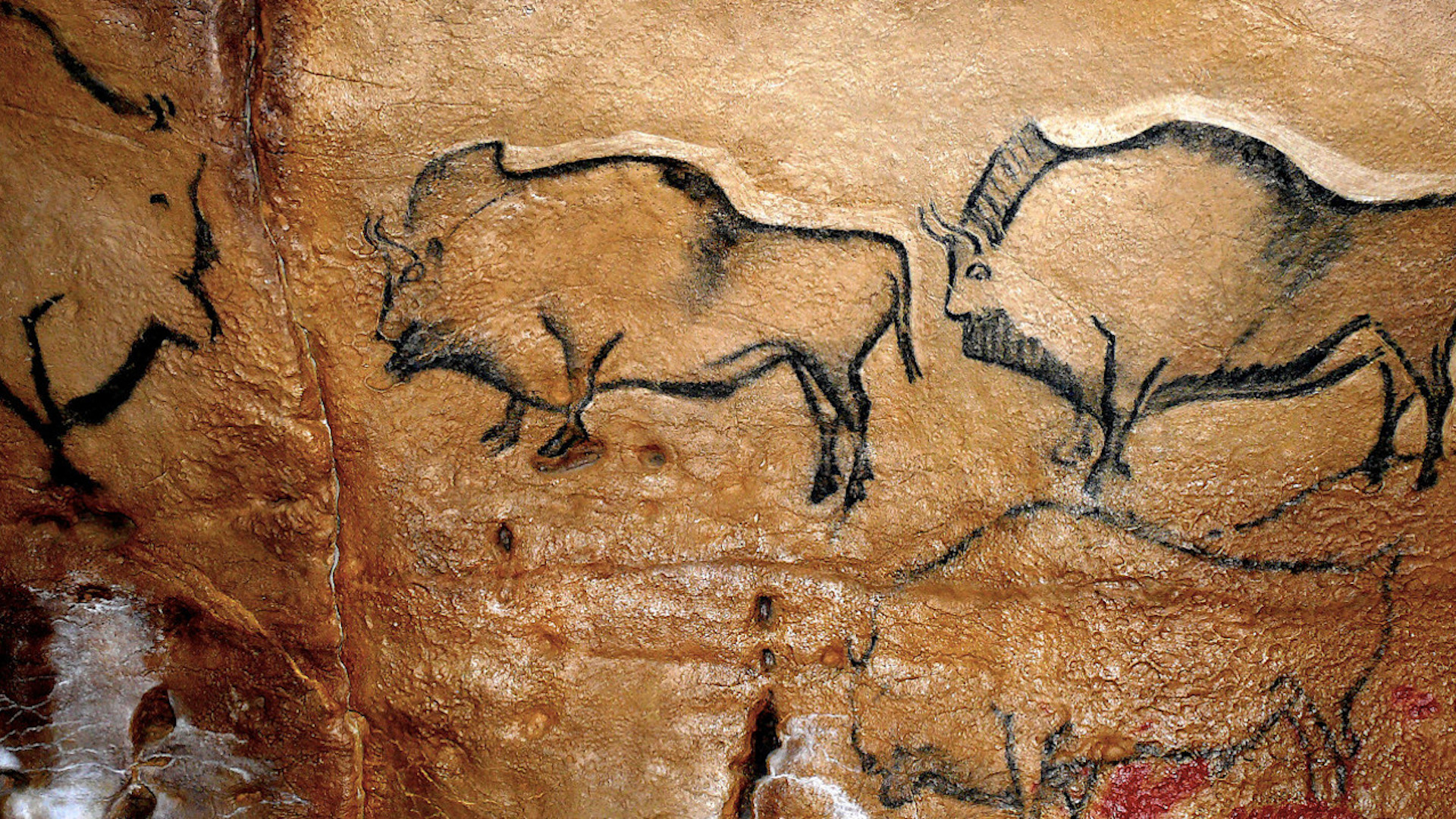 Bisontes de la Covaciella