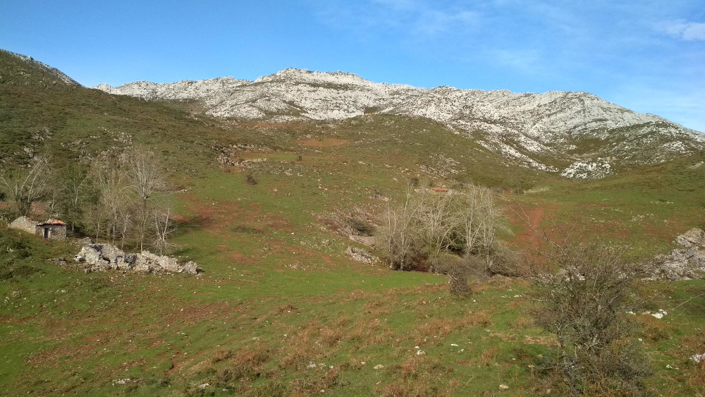 Brañas de Asiego