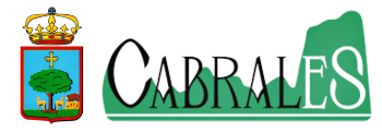 Patrocinio 4