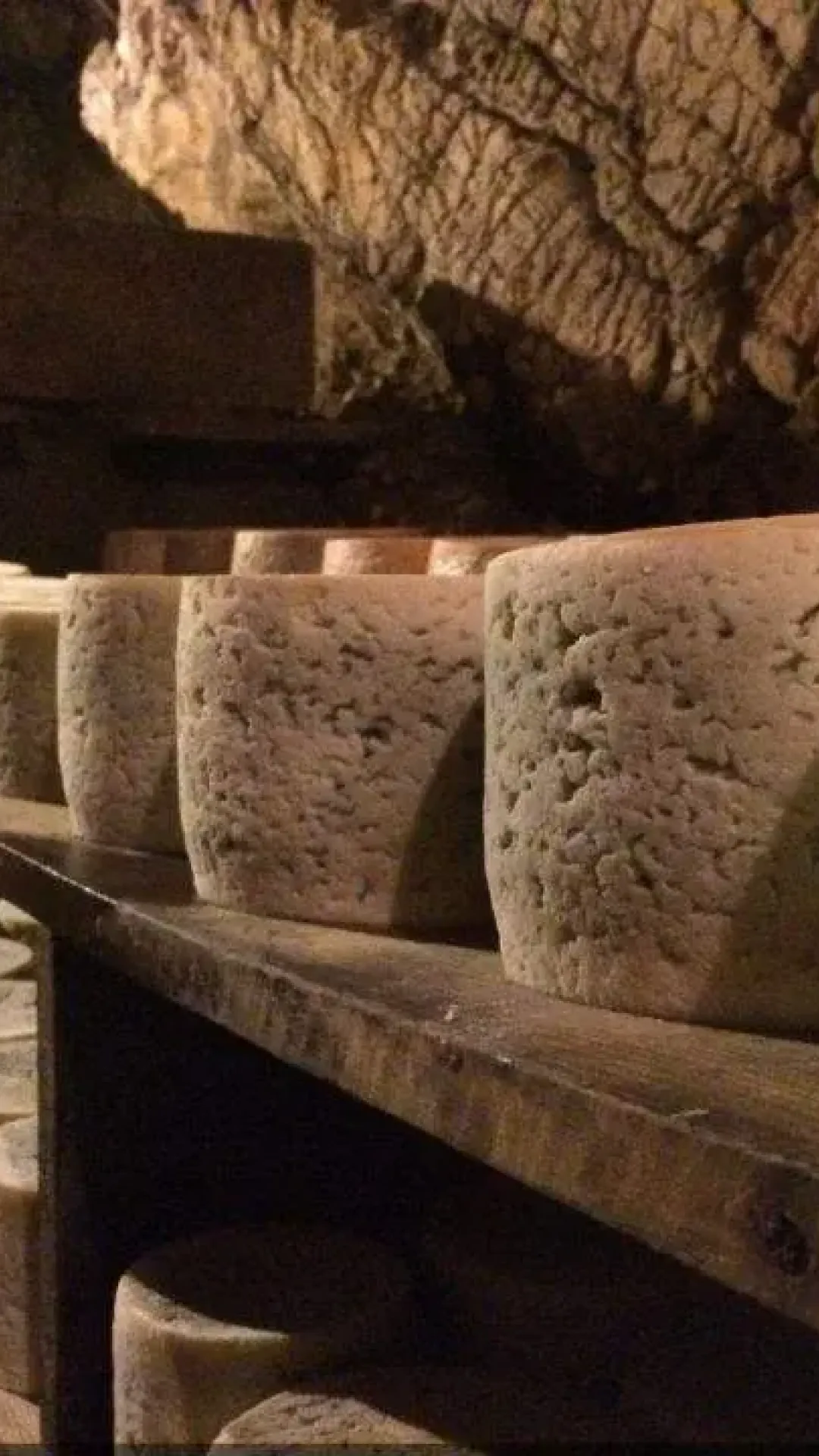 Queso de Cabrales
